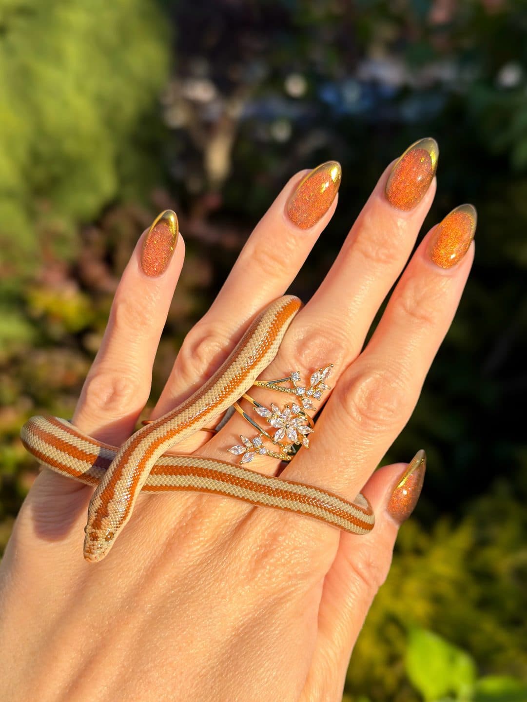 A San Matias rosy boa resting in a staff member's hand at Zoo Creatures