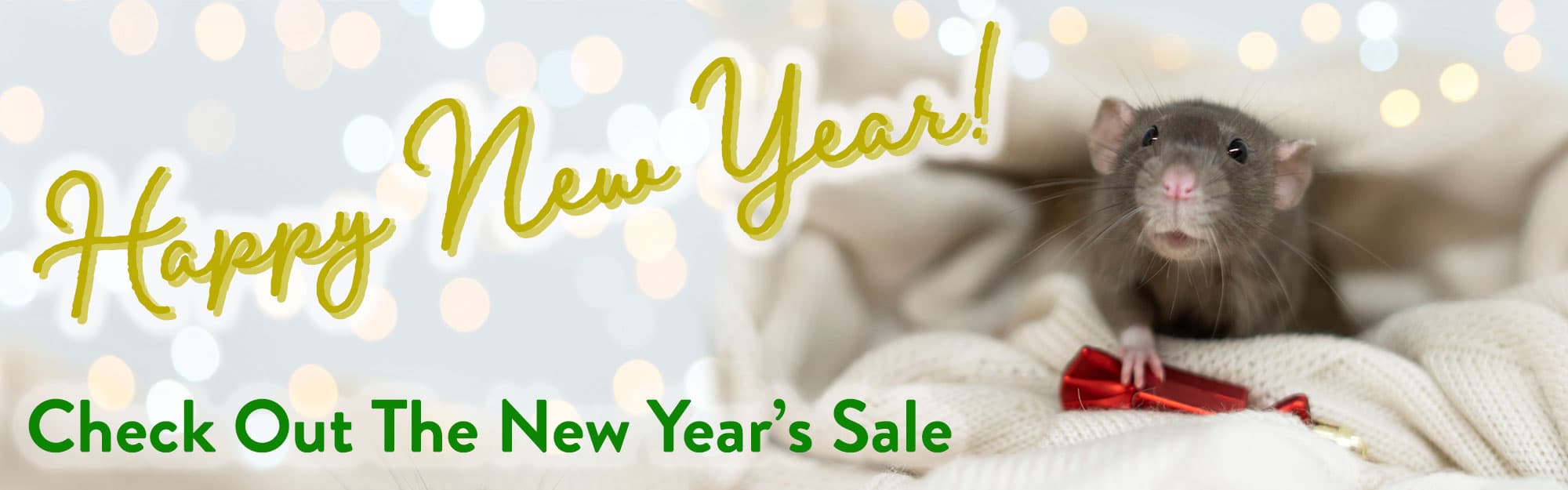 Happy New Year sale