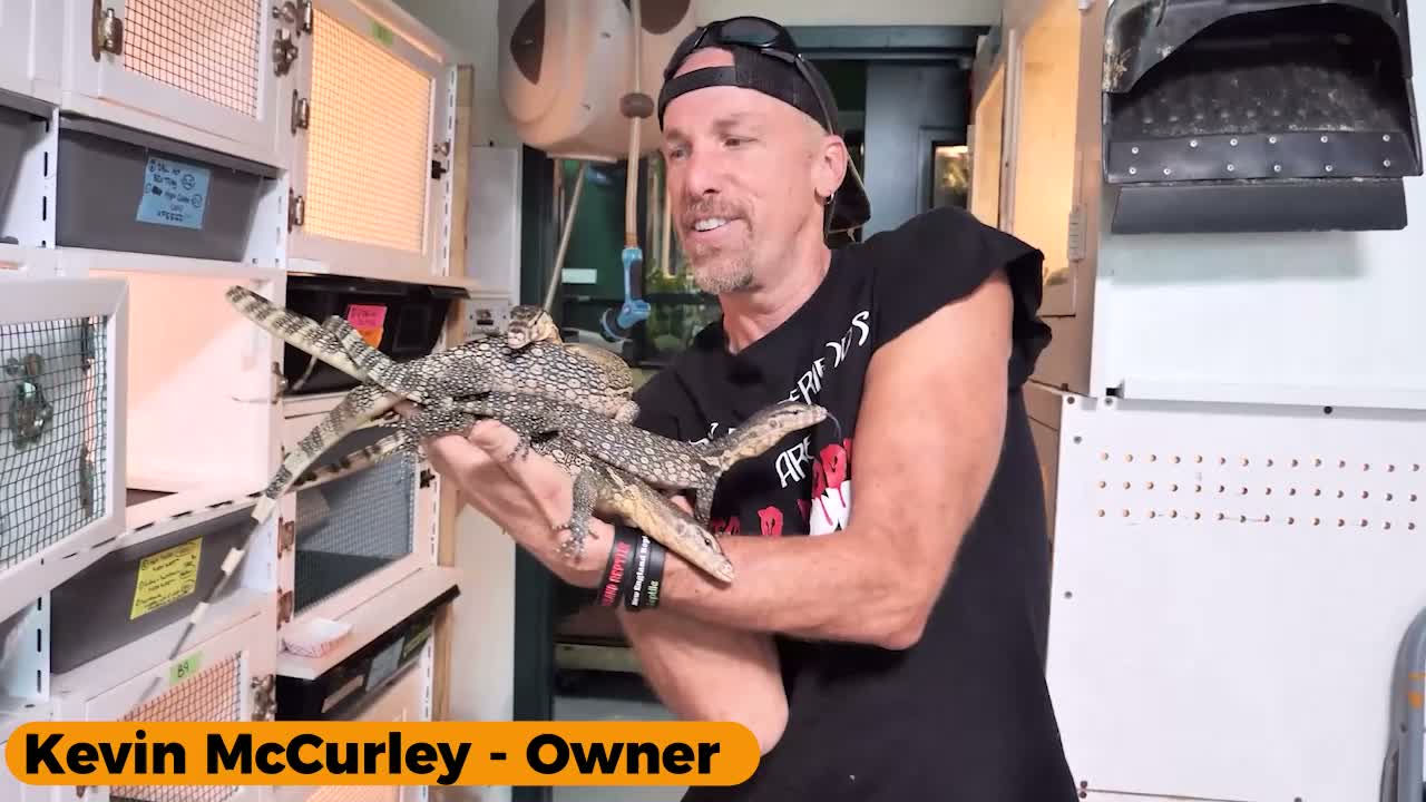 Kevin McCurley, owner, holding a monitor lizard in the NERD facility