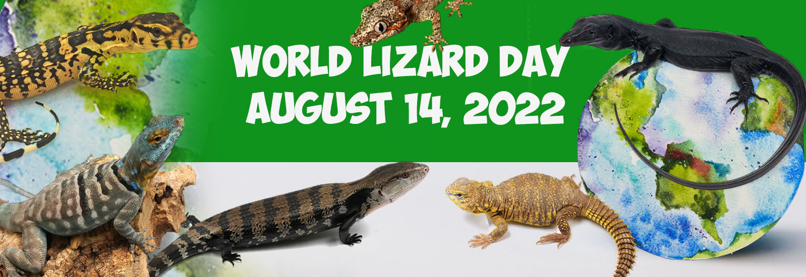 World Lizard Day 2022